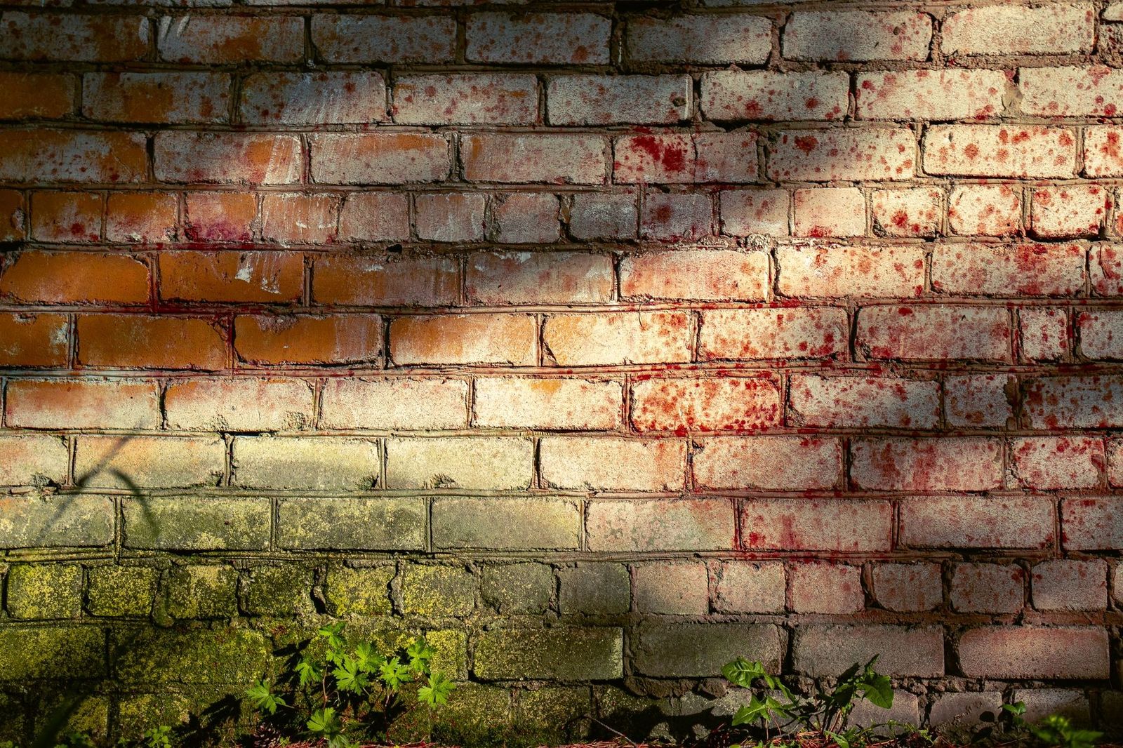 Textured brick wall with moss and stained shadows in urban setting. Ideal for background use.